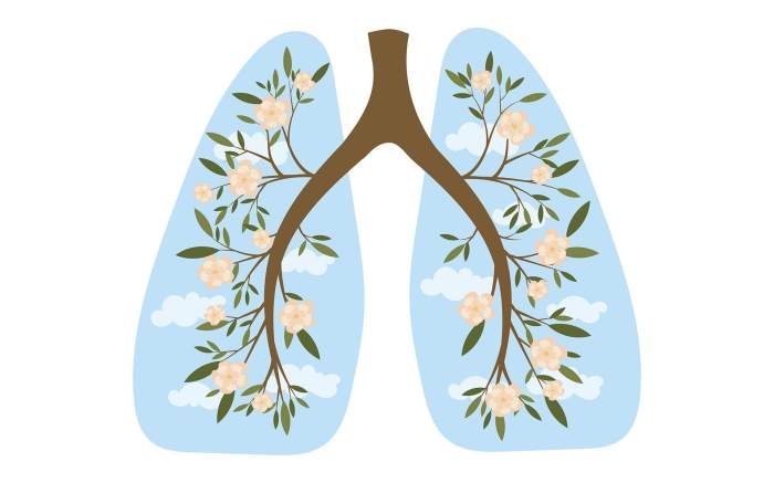 4 Breathing Techniques to Deepen Your Meditation